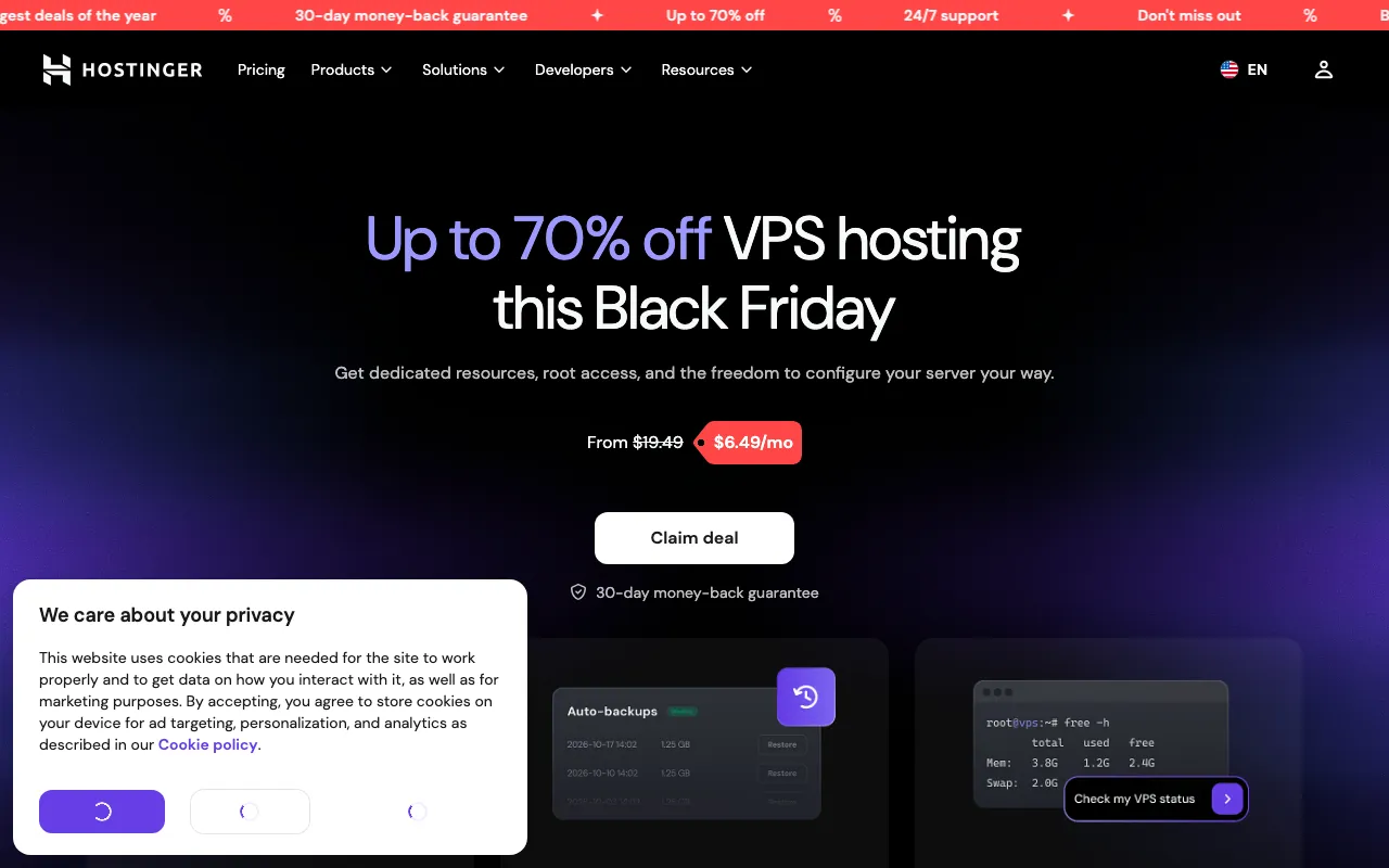 Hostinger Live Website & Control Panel Screenshot